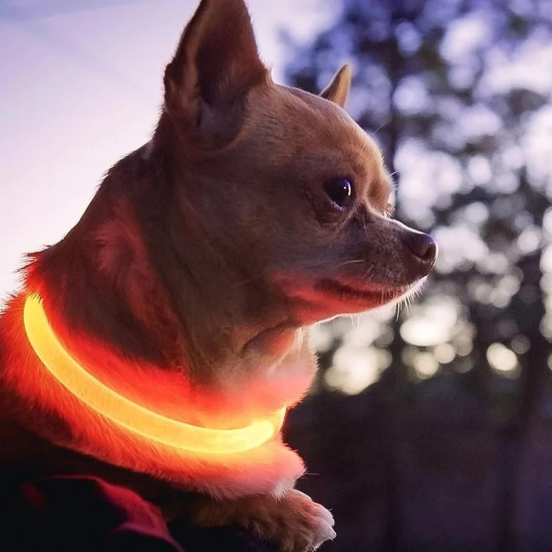 LED PET Safety Halo Style Collar for Dogs - Glow in the Dark Collar