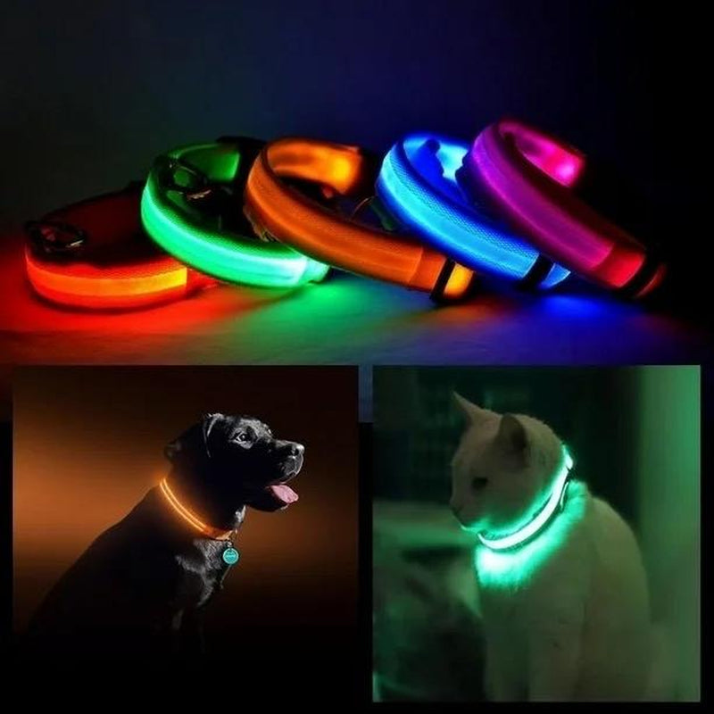LED PET Safety Halo Style Collar for Dogs - Glow in the Dark Collar