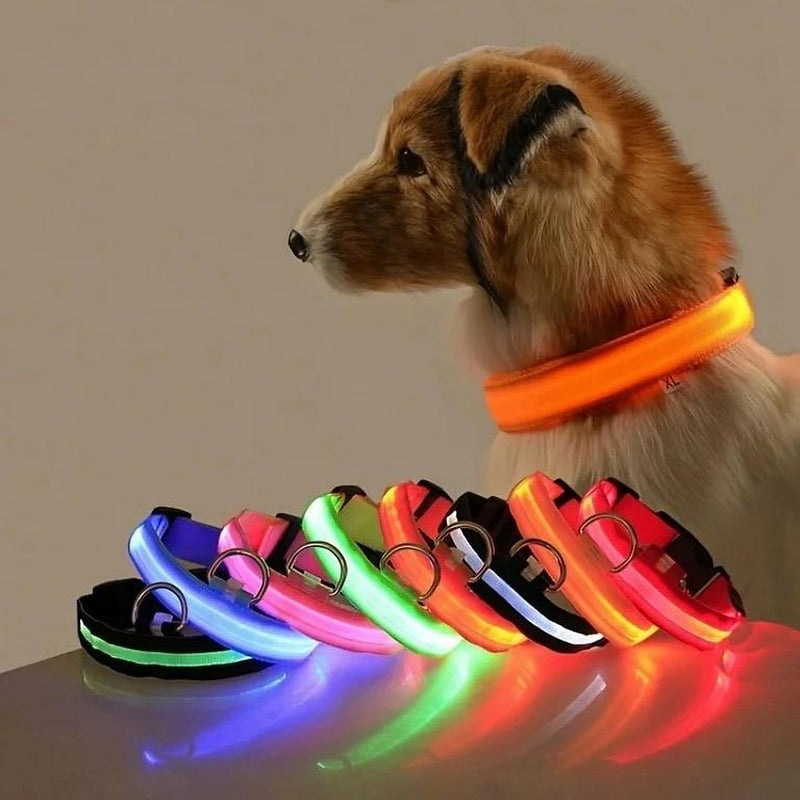 LED PET Safety Halo Style Collar for Dogs - Glow in the Dark Collar
